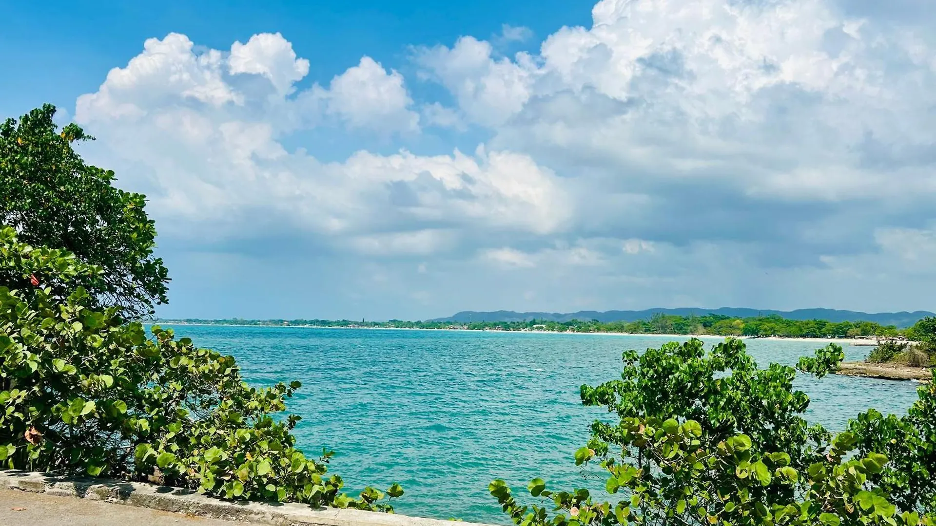 Luxury 1 Bedroom Fully Equipped In West End Negril location