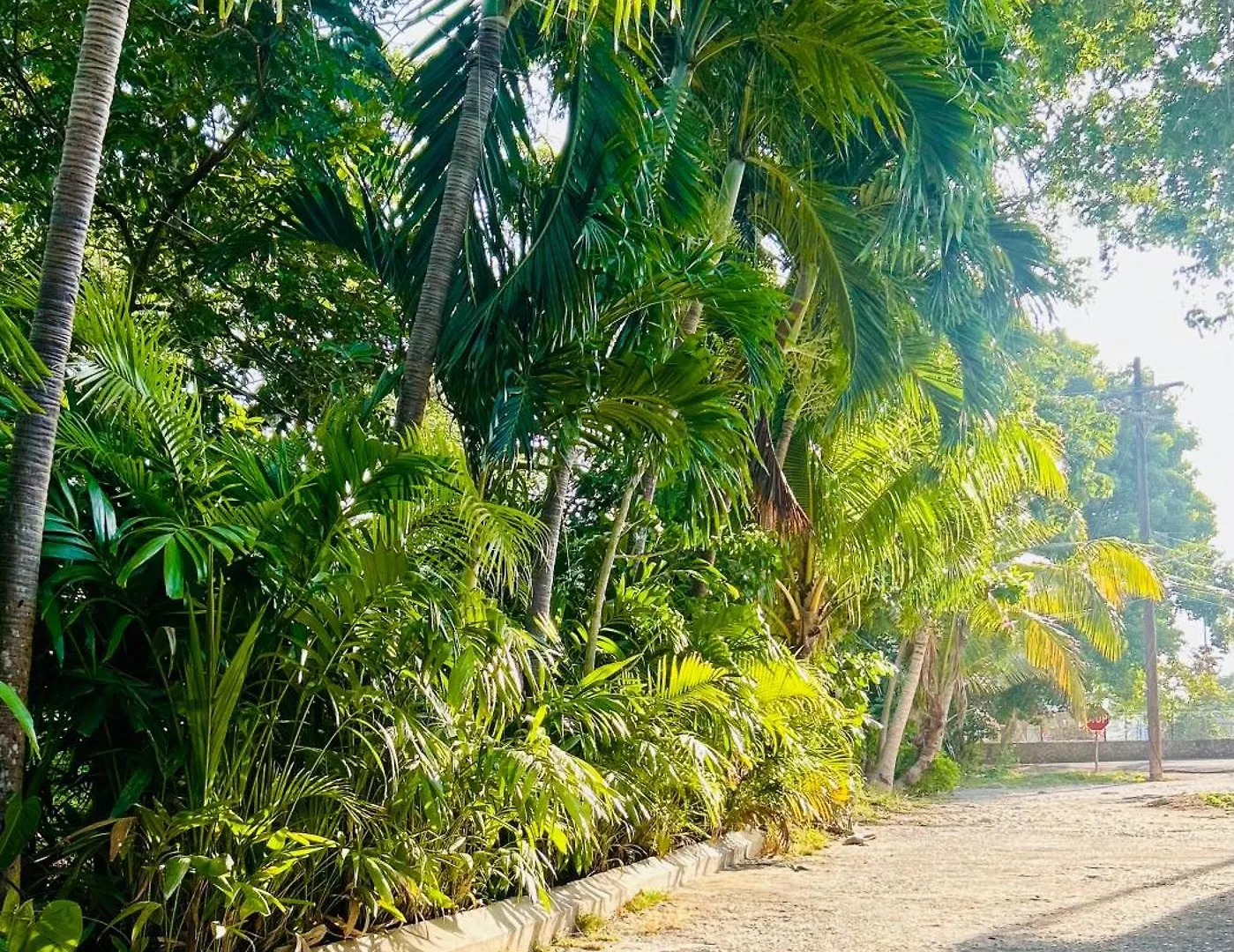Luxury 1 Bedroom Fully Equipped In West End Negril 0*,