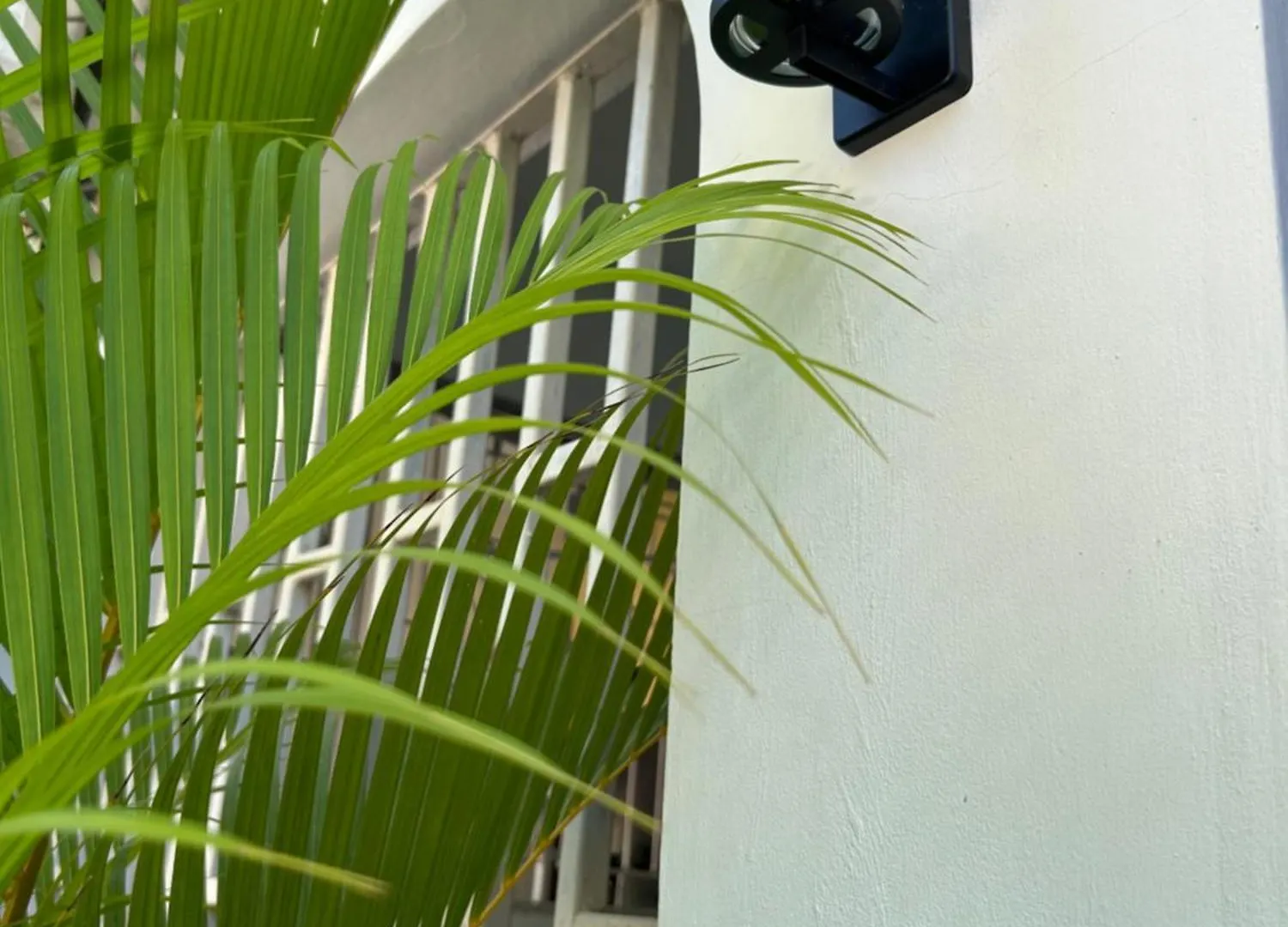 Apartment Luxury 1 Bedroom Fully Equipped In West End Negril