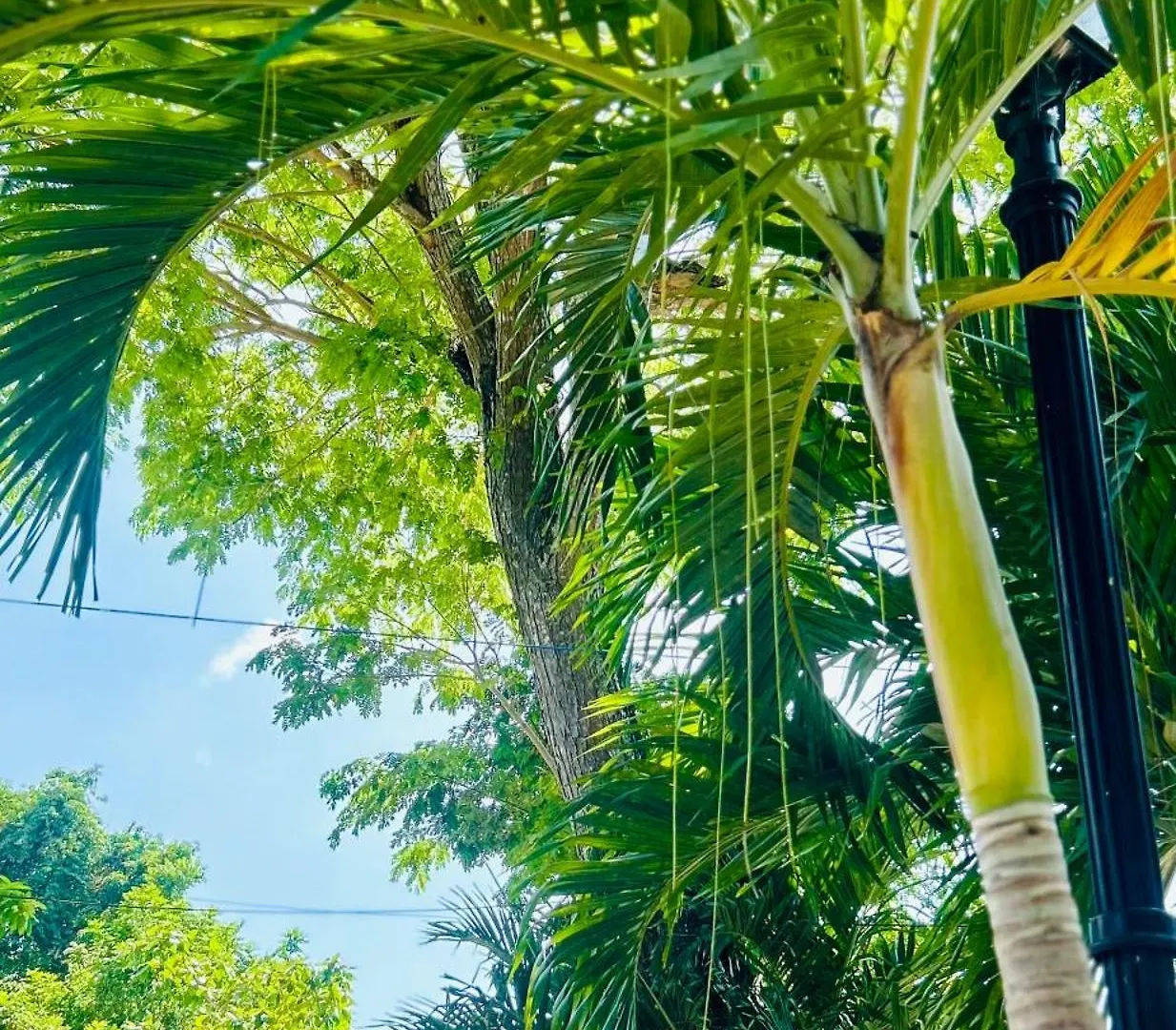 Luxury 1 Bedroom Fully Equipped In West End Negril