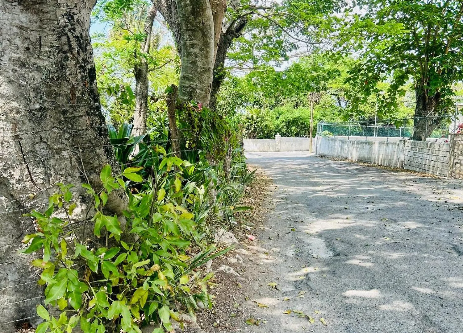 Luxury 1 Bedroom Fully Equipped In West End Negril Jamaica