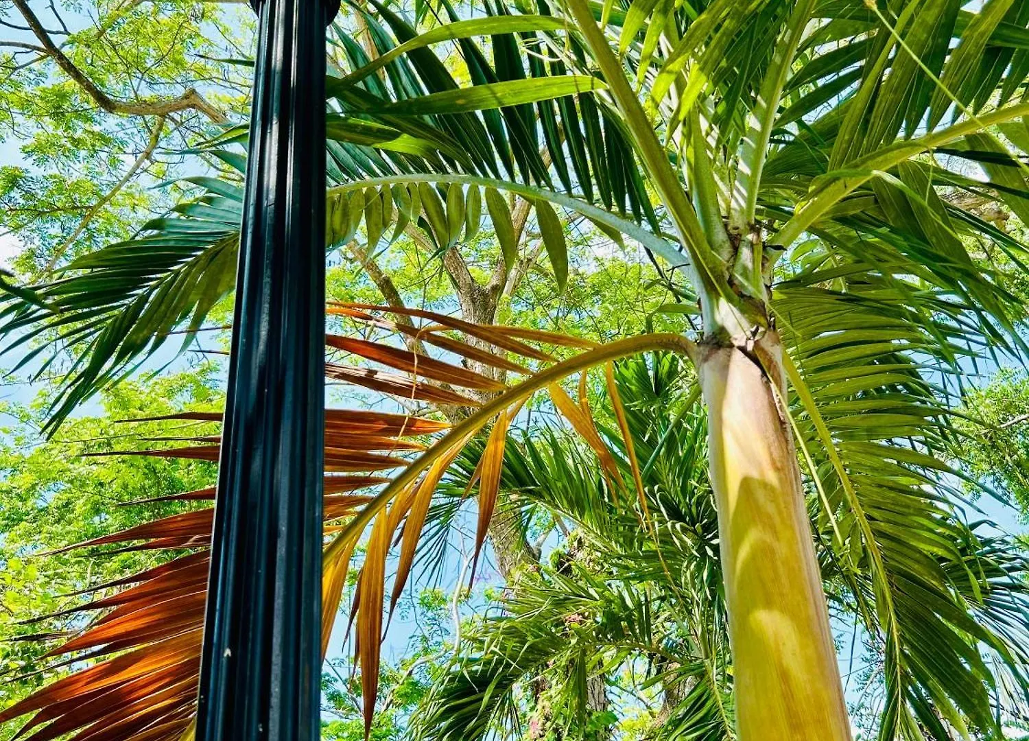 Luxury 1 Bedroom Fully Equipped In West End Negril 0*,  Jamaica