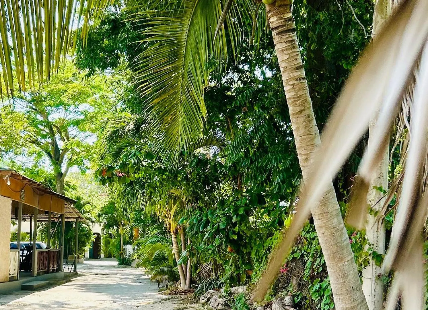 Luxury 1 Bedroom Fully Equipped In West End Negril Apartment